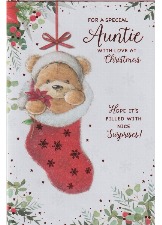 For A Special Auntie With Love At Christmas